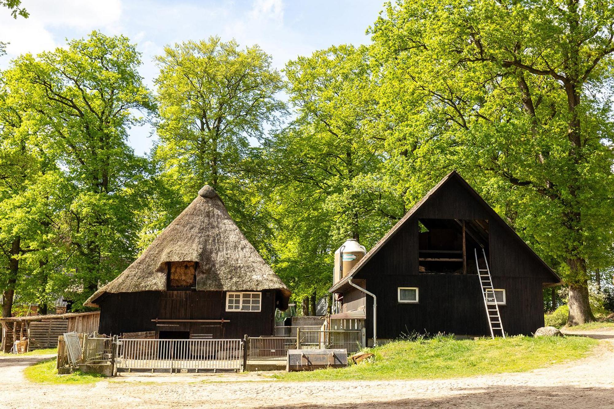 Heide Ferien - Hof Bockelmann Bispingen Exterior foto