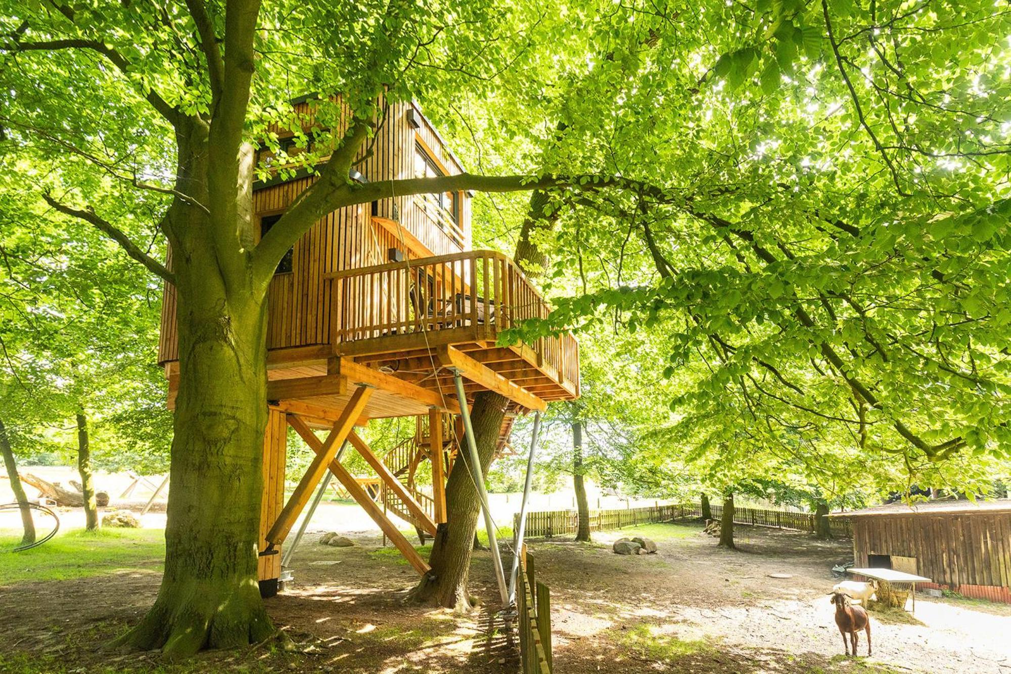 Heide Ferien - Hof Bockelmann Bispingen Exterior foto