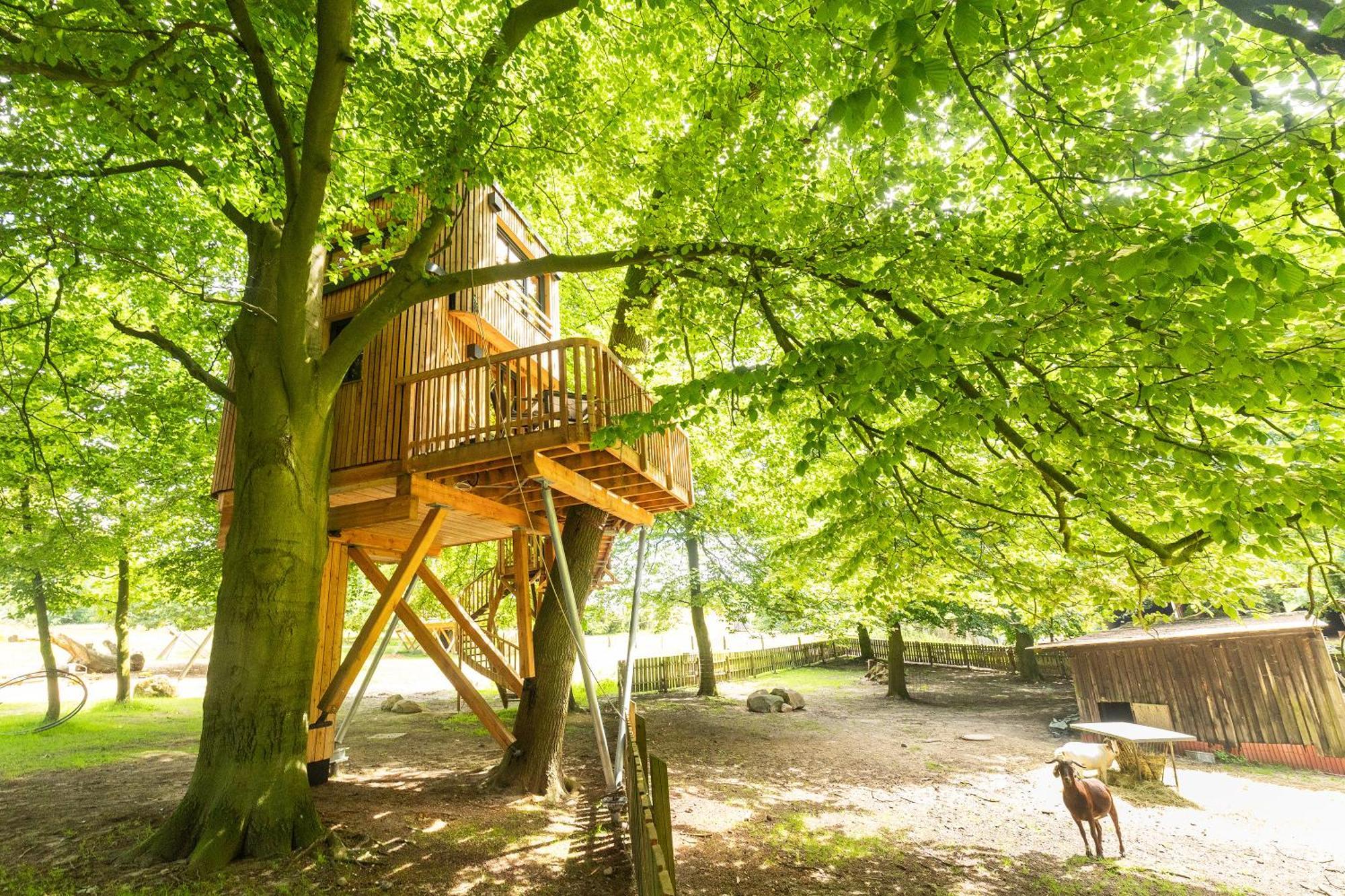 Heide Ferien - Hof Bockelmann Bispingen Quarto foto
