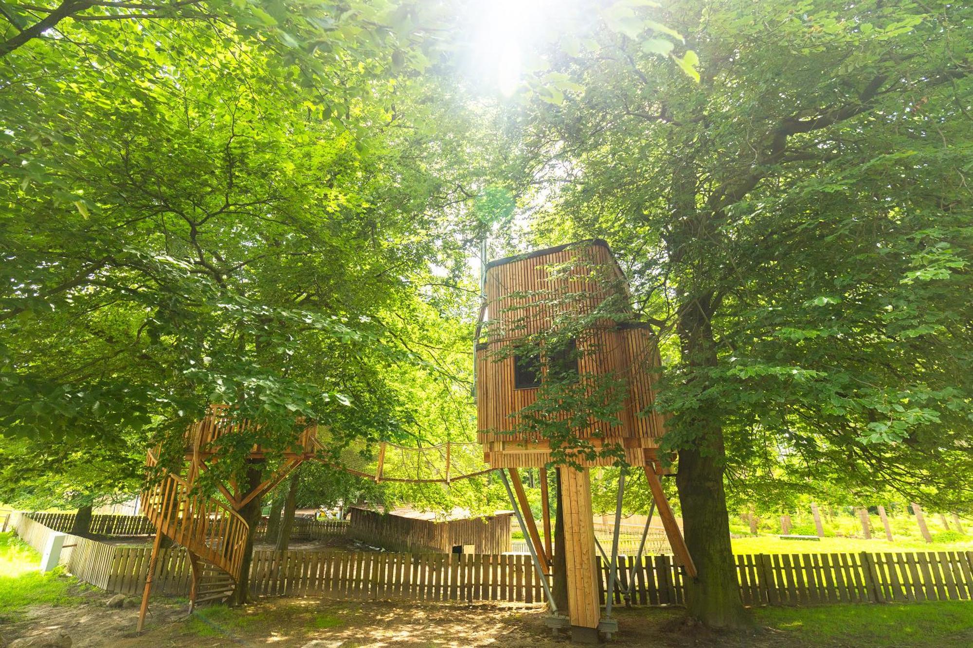 Heide Ferien - Hof Bockelmann Bispingen Quarto foto